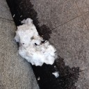 まだ雪残っとるやん！