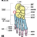 クロシマニキが事故って言うけどTDN立ちごけ