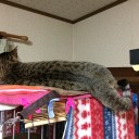 102日目