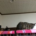 103日目