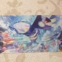 プレイマット購入！ポケカ買い物日記 12/27