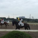 東京大賞典2014の回顧