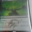 よじよじこぶこぶしっくしく～