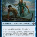 今年のマーフォーク