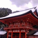驚愕のおみくじ