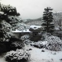 雪景色