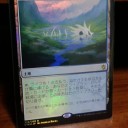 【四光】 タルキール最高です(ﾟ∀ﾟ)!!