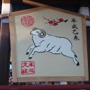 黒猫がいた！！