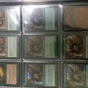 大蜘蛛 日本語 foil