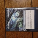 沼と打開