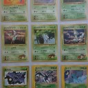 ★ポケカコレクション紹介1　《ズバット》