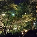 固まる(笑)