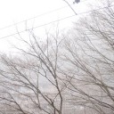 コミュ障