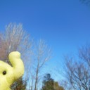 もう1月も終わり