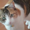 この・・・・