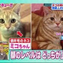 この・・・・
