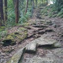 15000歩