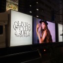 馬と羽根と、蝶と椅子。(ライヴ・オブジェ展&撮影イベント)