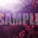 僕のBMOは終わってしまいました