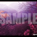 僕のBMOは終わってしまいました