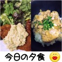 シカト断念
