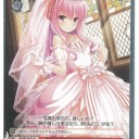 眩しかった日のこと、そんな2月19日の日のこと