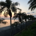 新婚旅行