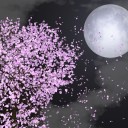 ブードラ赤緑戦記　月に叢雲 花に風
