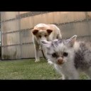 さいきんのおきにいり・・・