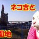 さいきんのおきにいり・・・