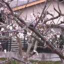 暑くなったナァ～！