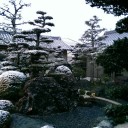 ３月に雪の記憶はないネ。。。