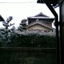 ３月に雪の記憶はないネ。。。
