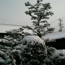 名古屋３月としては３年ぶりの積雪！