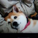 出た！