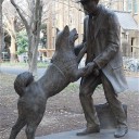 忠犬ハチ公、90年ぶりに飼い主と再会