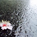 【吉報】　“さよなら私のうんこdays”編