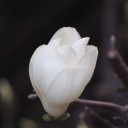 2015年3月21日の日記