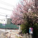 感想