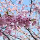 2015年3月29日の日記