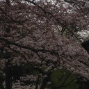 3月30日の日記