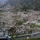 3月30日の日記