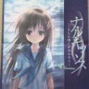 眩しかった日のこと、そんな3月31日の日のこと