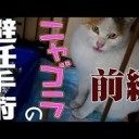 ひにん・・・