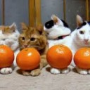 やだ・・・・