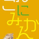 やだ・・・・