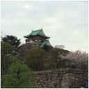 シロとビル どっちミル⁈