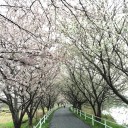 2015年4月5日の日記