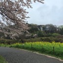 2015年4月5日の日記
