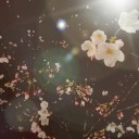 雨夜。